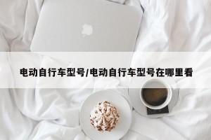 电动自行车型号/电动自行车型号在哪里看