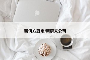 新何方蔚来/新蔚来公司
