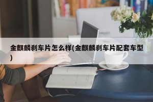 金麒麟刹车片怎么样(金麒麟刹车片配套车型)